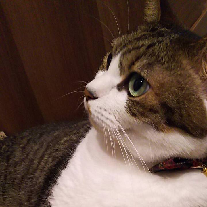 7651c582 77bc 4403 b238 536b21580721