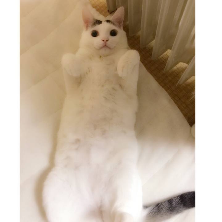 7651cfc2 8b6a 4fb6 b5e3 2607196e9ac5