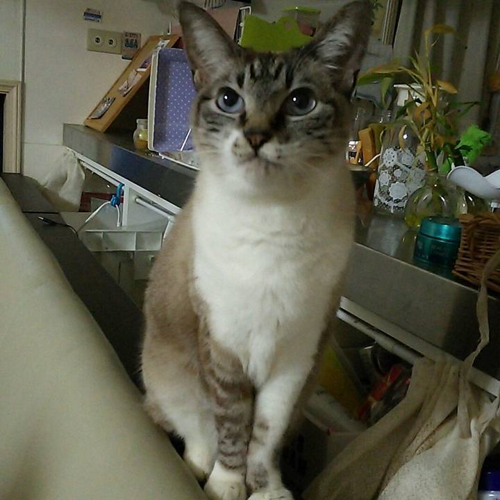 7651d4a1 902f 4685 8395 1f6a0d457b13