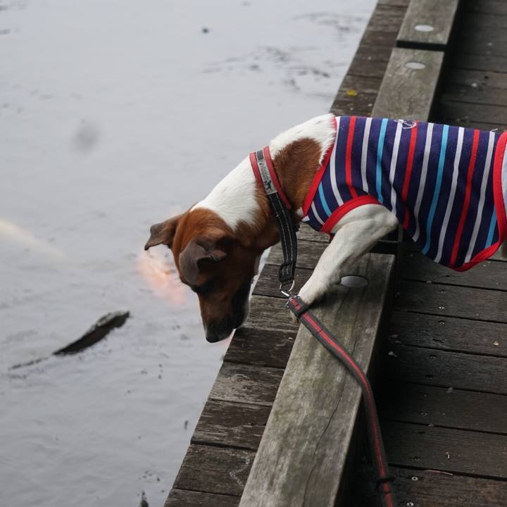 7651f527 caa8 418d b93e 939eef6b3e30