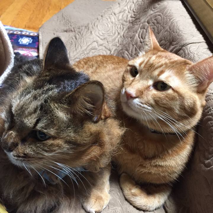 76520a9a a803 4f46 8289 1fce22c412cd