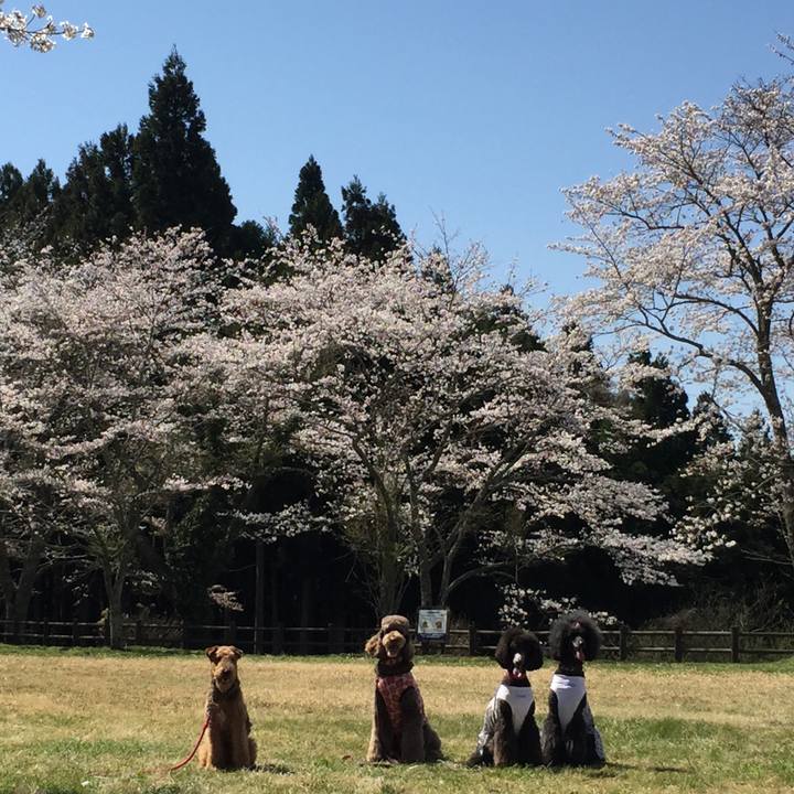 7652a4d1 15f1 45e4 8230 b7724eafe5c3