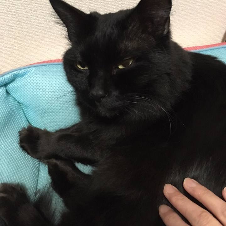 7652c24e ba87 4f74 aa85 2994f50044c6