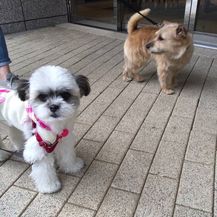 7652d8b0 a89f 4644 afc0 585c2d9c710c