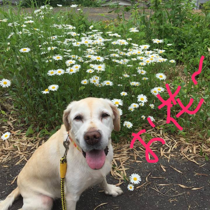 765333b3 1bb2 44c2 95f3 55f6557c030f