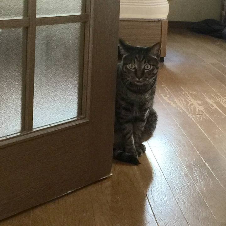 765359b6 0365 4c01 8fb5 75c2db08fa62