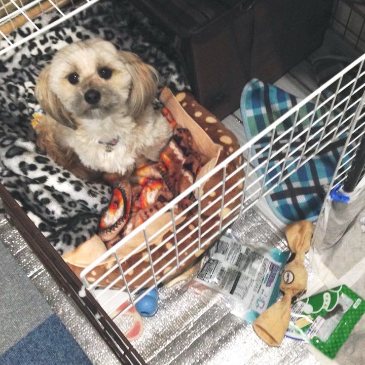 76536482 6fd0 4cf4 a32b 458faf49539d