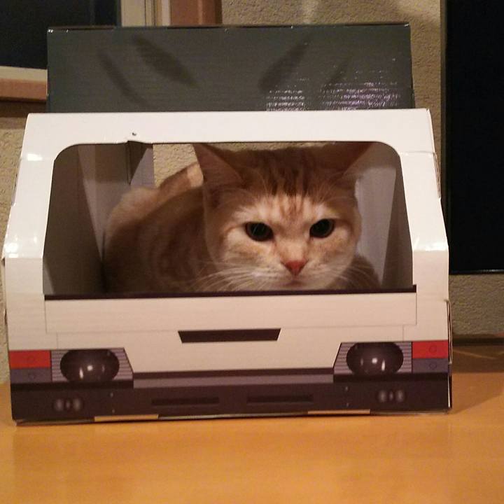 7653a65b f272 40fb a6d5 149bd4e90eec