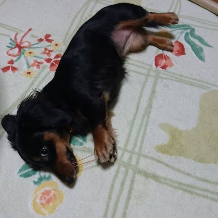 7653ae10 dbe4 43bc 9e7b 15e300b7a812