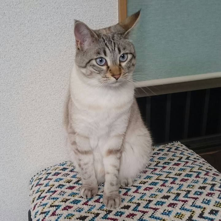 765421c4 bd60 42ff 994a f6d0e12c2b57