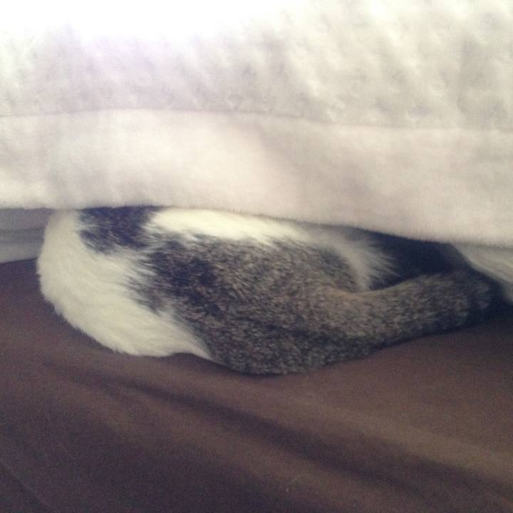 76542a85 fbc0 41e8 8cab 4db4c2567ab7