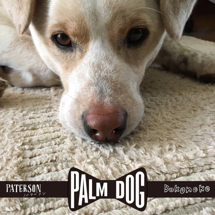 76544580 c5fa 43de bdb6 3e0402ee1599