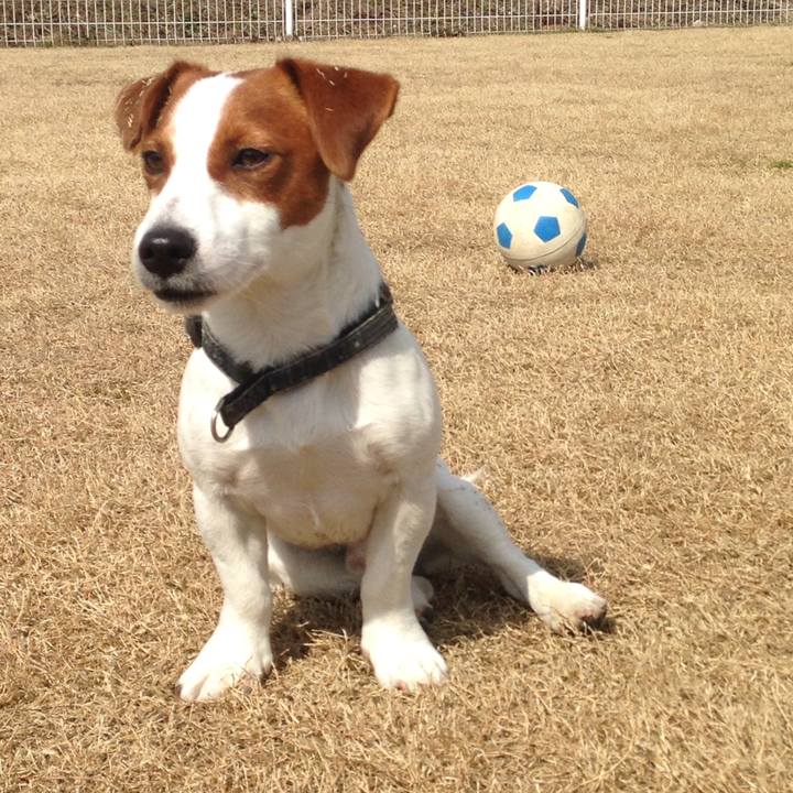 7655c4b0 281e 4030 a57d 5da4c0a5357e