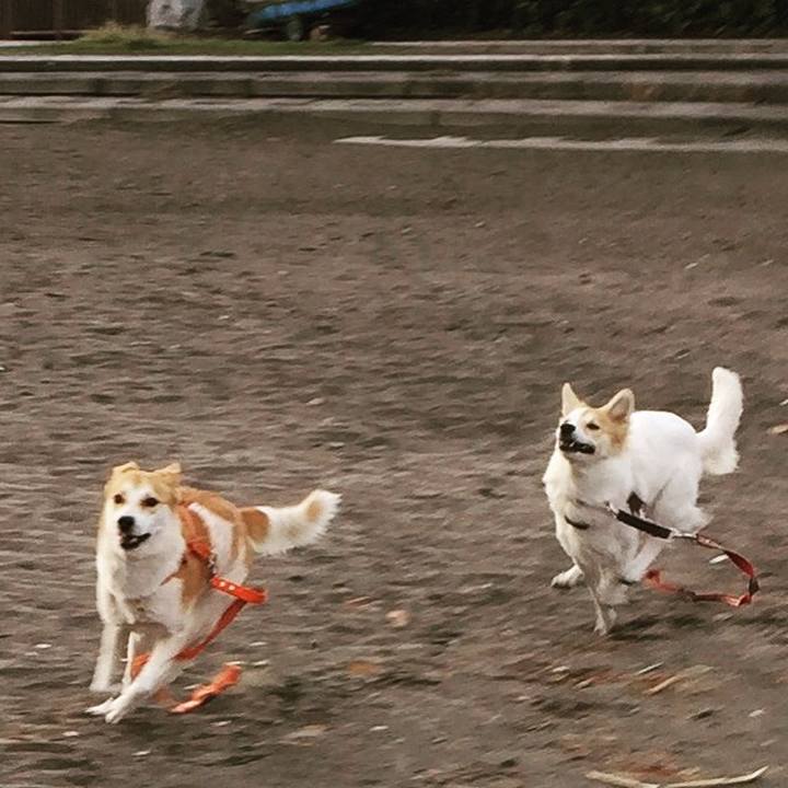 765626ff 854a 4e25 8c24 1a35a4a3c647