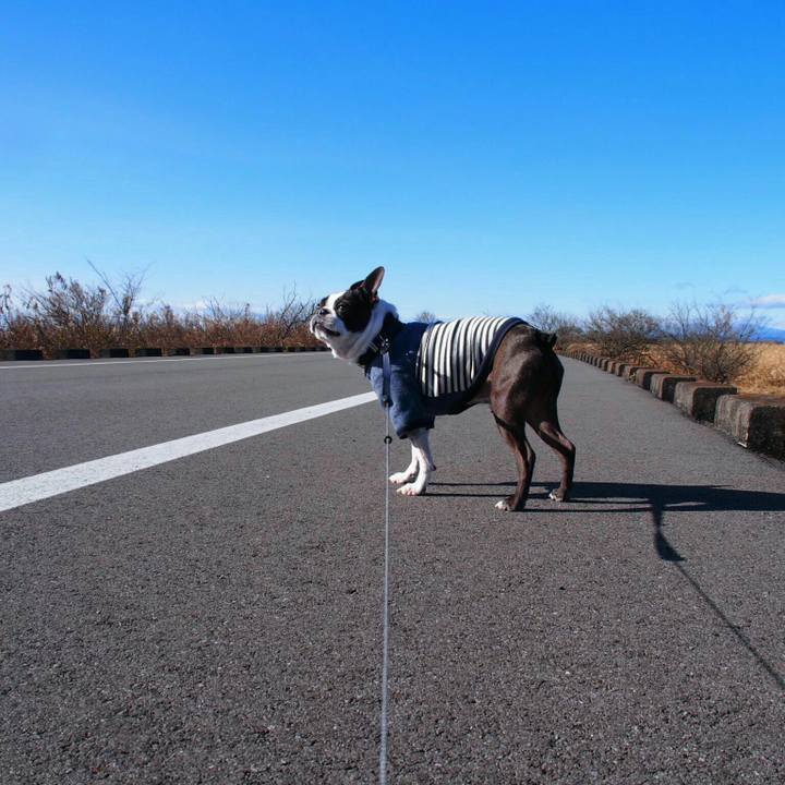 7656d643 d2d7 4be1 9775 9e3cc9904a11