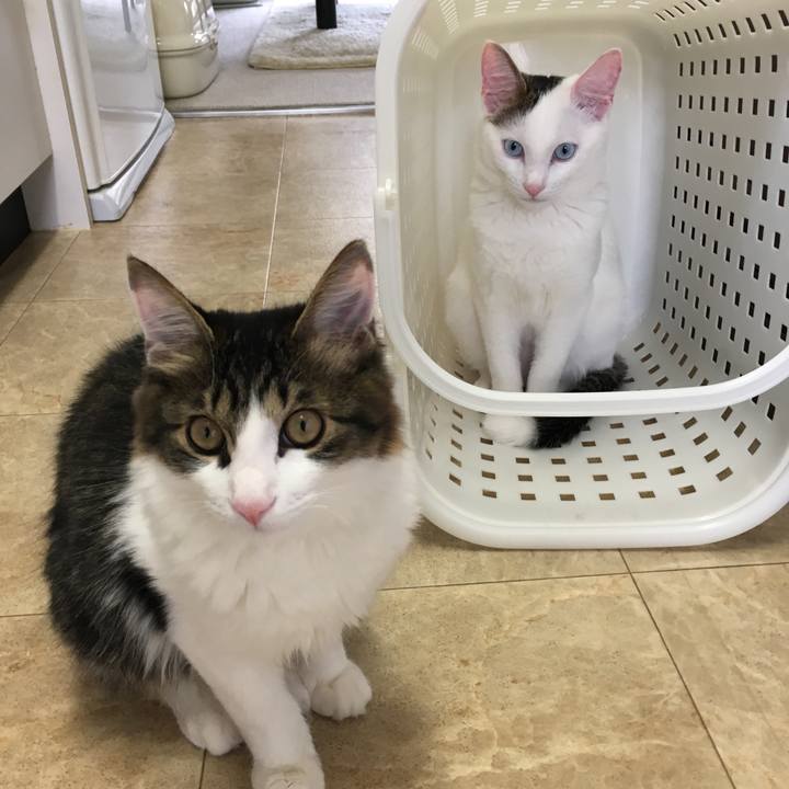 7657ec45 6b72 46c3 b2a4 a614f35a744d