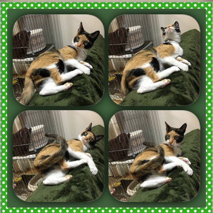 7657feba d96e 4a30 9f94 a3639eacad64