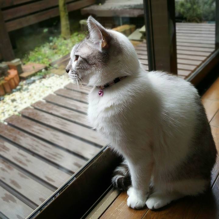 7658da93 bf01 41dd a3b1 5a961dee61ce