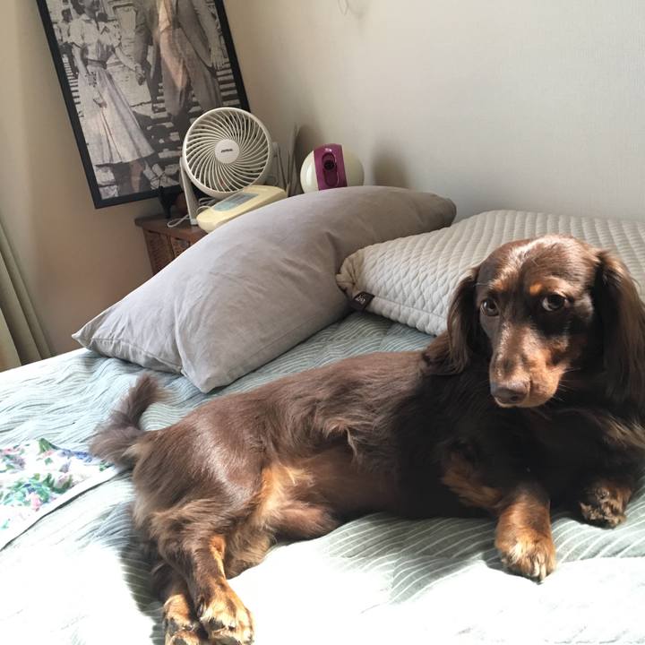 7659a1d8 0970 4570 88e5 dd66592ab302