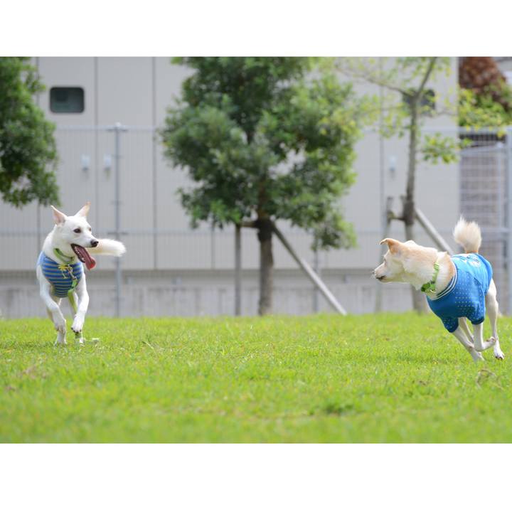 765a22d1 69c1 4590 a1b0 8825f9ea6d6d