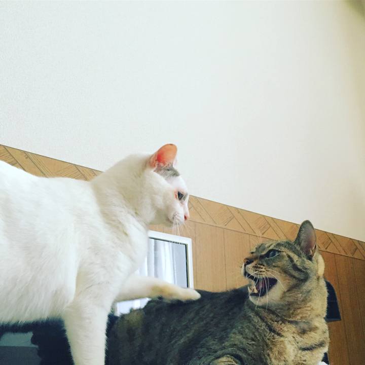 765aa2b1 5140 4de0 8df6 0473ba328c16