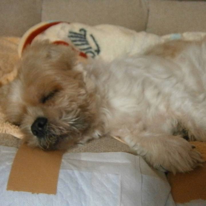 765b5ed0 5a8b 49f1 8170 34e7d644b197