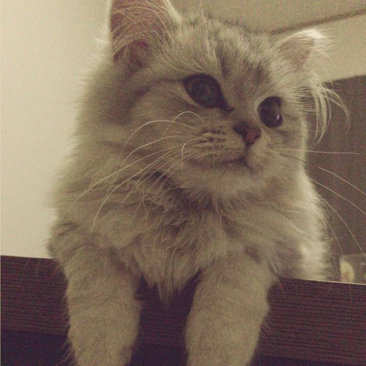 765cc73a 8bb6 45e3 8300 7df5a69b554b