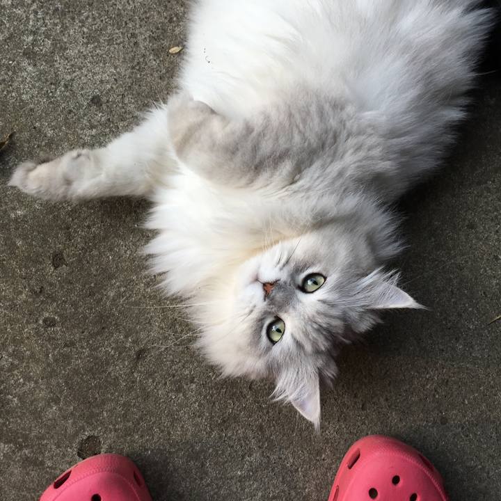 765cf38a 960c 4920 8fef 83f092a9d829