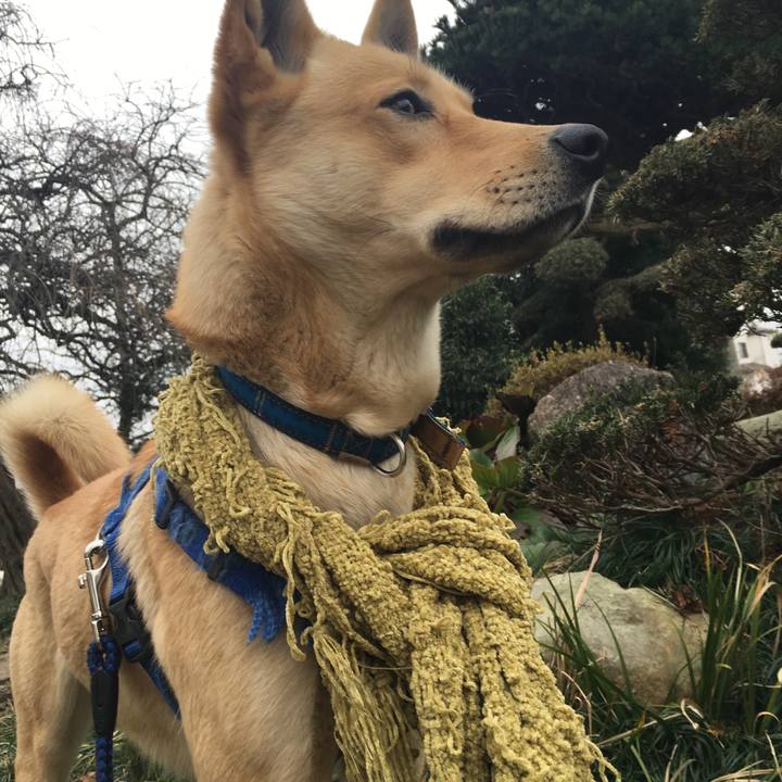 765d8cb8 b128 4396 b1e9 e268c1546187