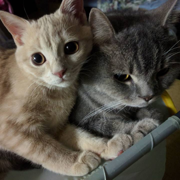 765dcdd6 2b44 4ad4 a426 3540f52861bb