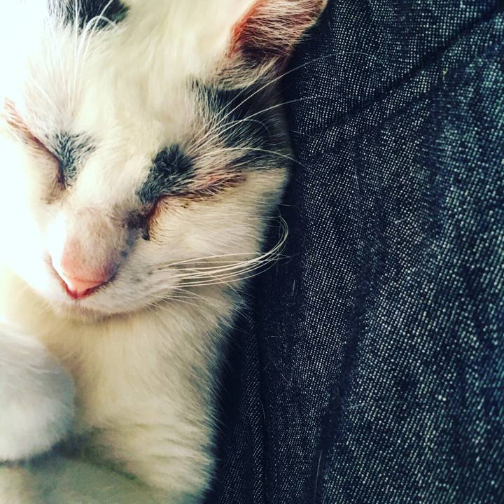 765dd5f7 9d64 4229 8452 ef99a9945d83