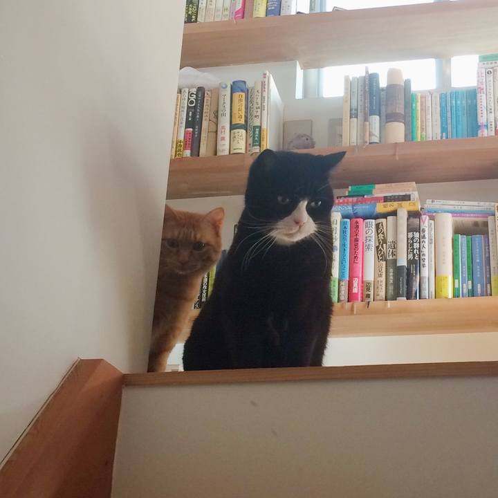 765eab5c 3079 4655 bfee ba01b7199000