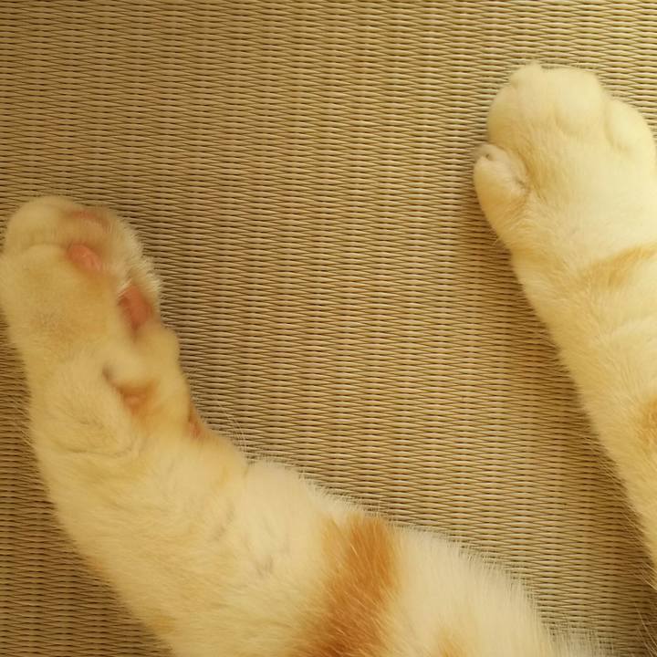 765f1f50 7c87 4fac 8f97 477fd7edbd9c