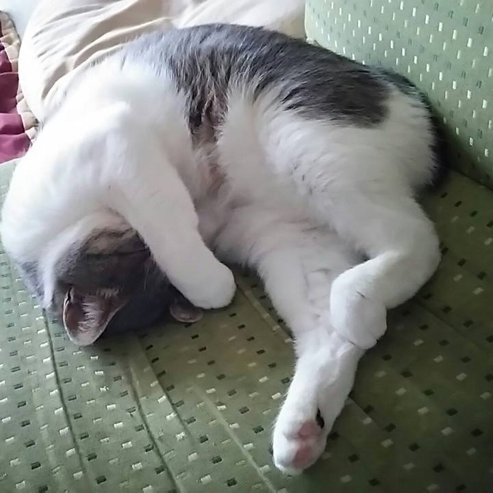 765fa4f5 dee5 4776 a335 c75b415b7627