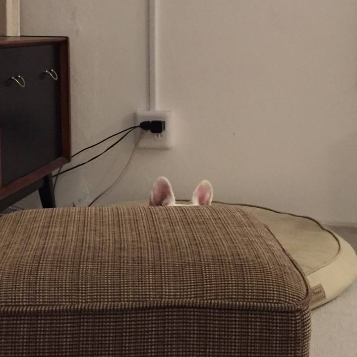 765fe631 5aeb 4ae6 abdb 1a296578be02