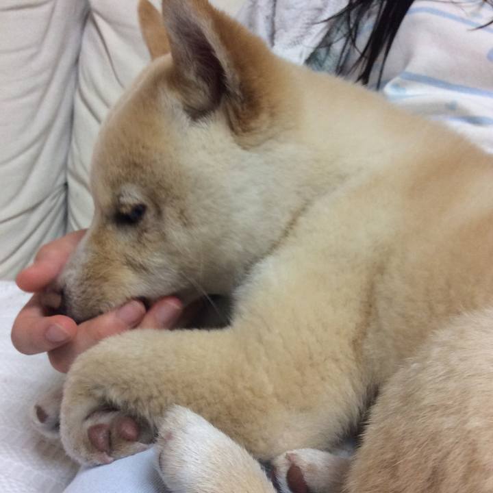 76600b58 4c52 4ed3 b71c 5c6326008659