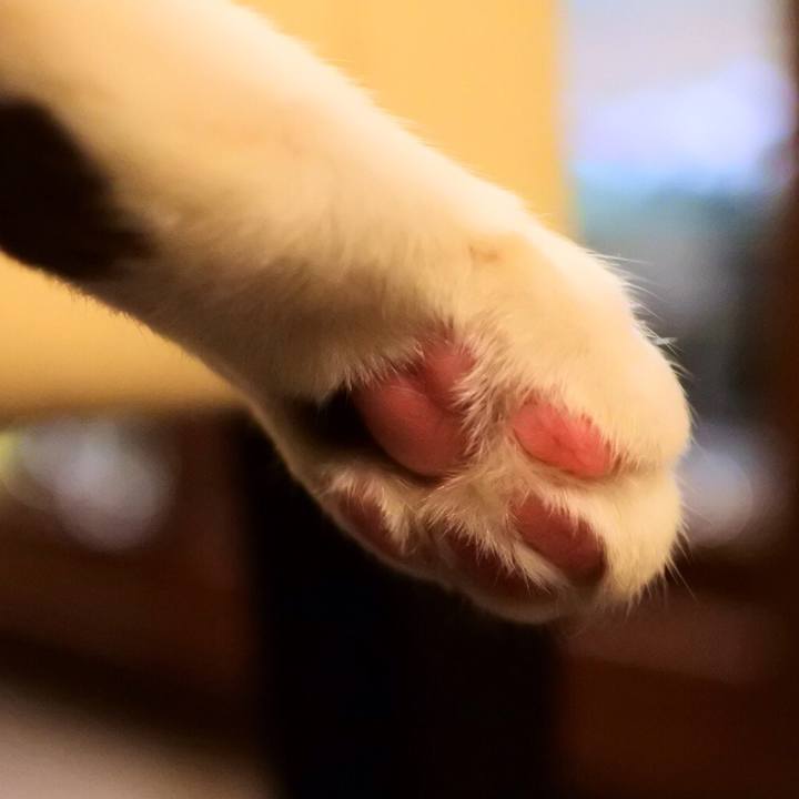 76608194 4c09 433e a2c3 760d7348e366