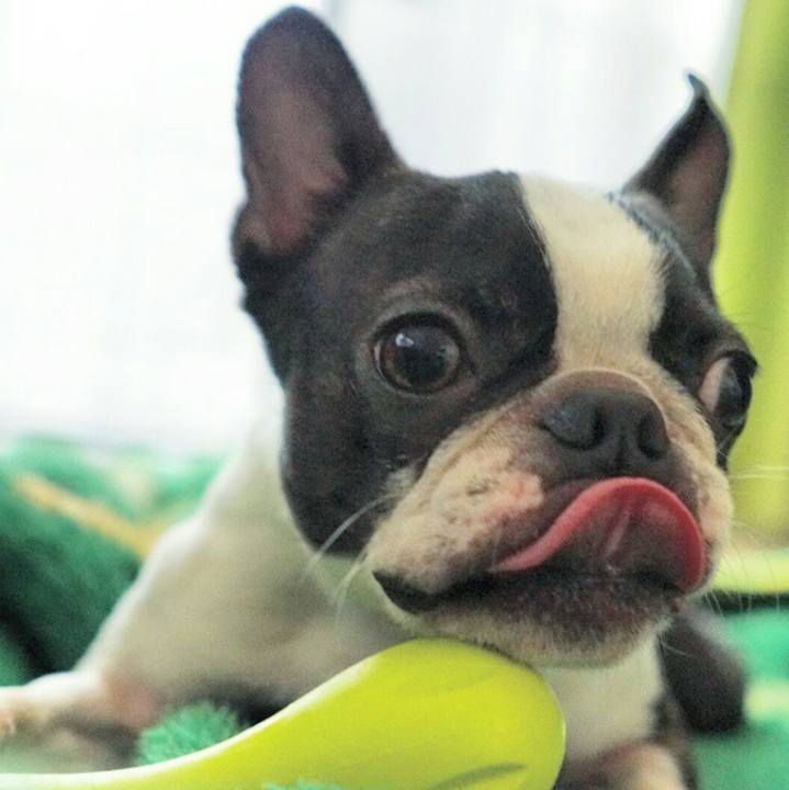 7660d009 c608 4691 90a6 f0d2d0830336