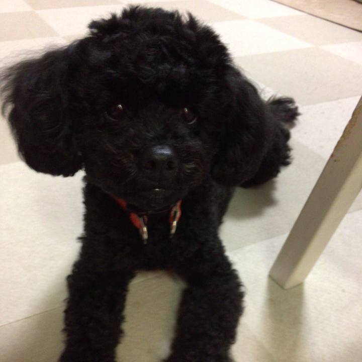 76614f92 5868 4a07 a348 77cb06c1b4f7