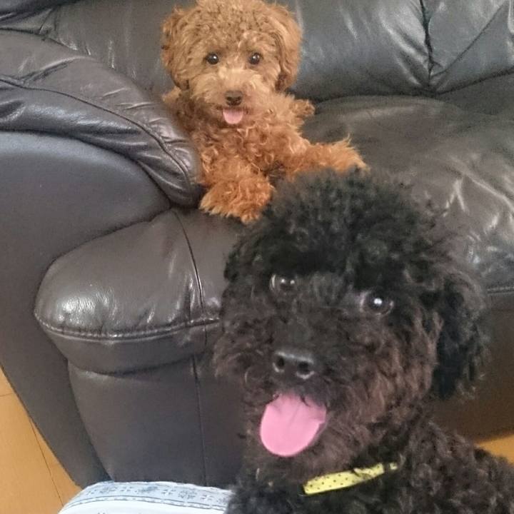 76618fef 5f4e 459a 9388 d03e6273b6a8