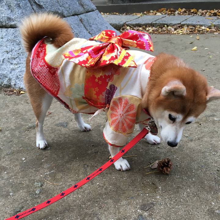 7661dd80 35aa 4b9c 8cae 150cb3a53873