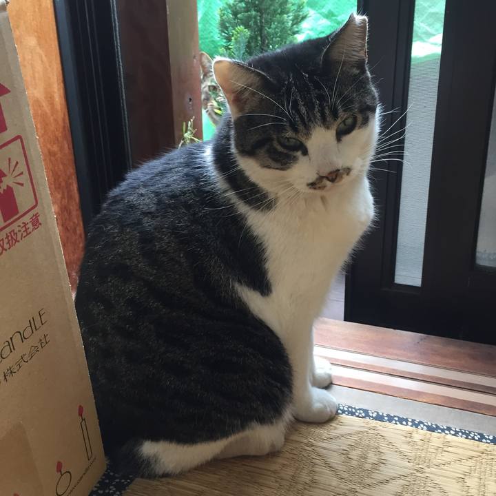 76621f87 ad59 4671 9077 e4b811956214