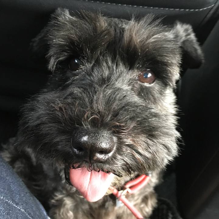 766236cc 23e5 4396 a078 3e0c11361e2d