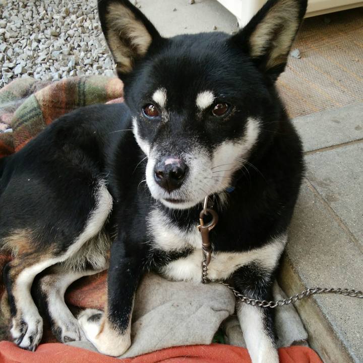 766245dc 34f7 4a88 b245 e252a1f21d27