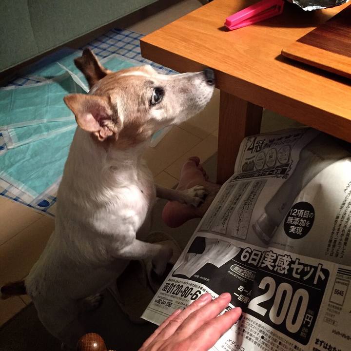 76635316 7456 4c35 827b 2aabdc09a584