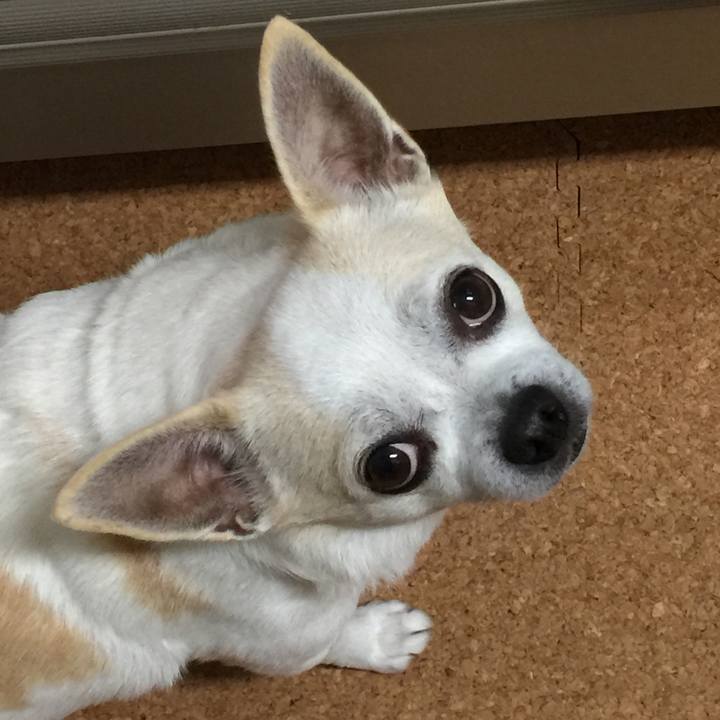 766375e8 f420 41a3 8a7f 86ea9ac7dbeb