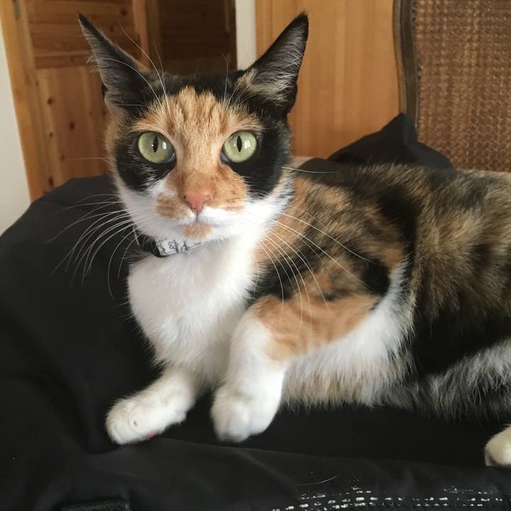 766392ee 7f91 4287 90eb ca3989ec6a65