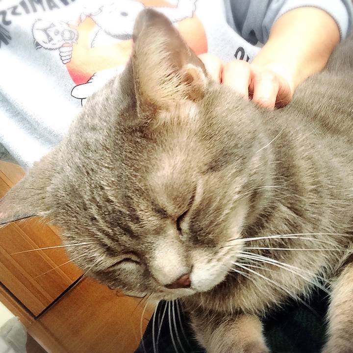 76640df3 2fed 4f73 9021 1e157f9d6f3a