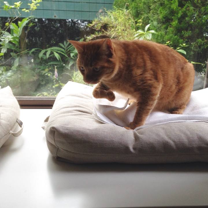 76651bbd 98a4 48ac 9530 937b9db56663