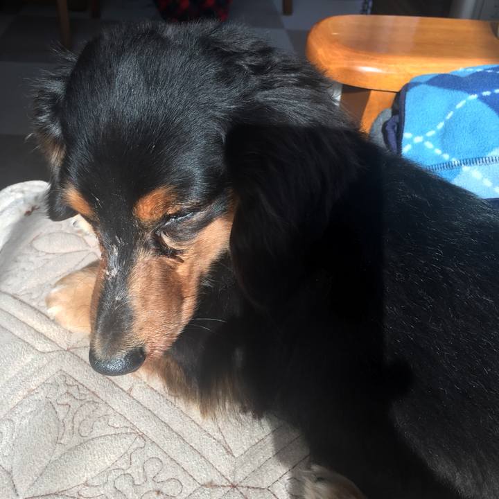 7665c6b5 35c9 4c6d 8b06 184adaf685f0